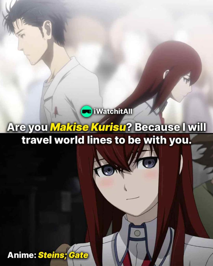 Are you Makise Kurisu Because I will travel world lines to be with you