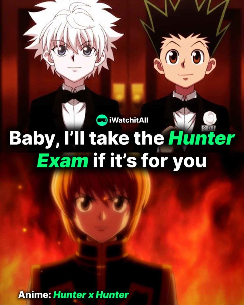 Baby, I’ll take the Hunter Exam if its for you Hxh Pickup line
