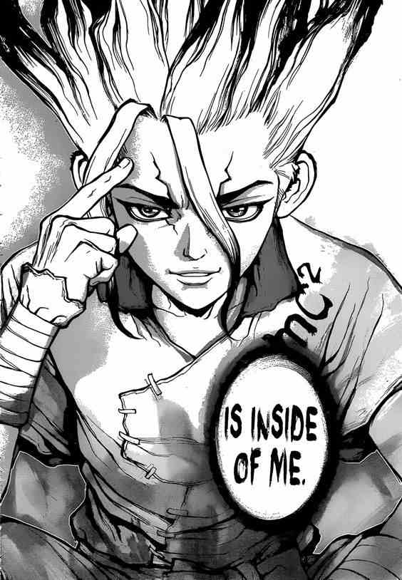Dr Stone Manga Senku