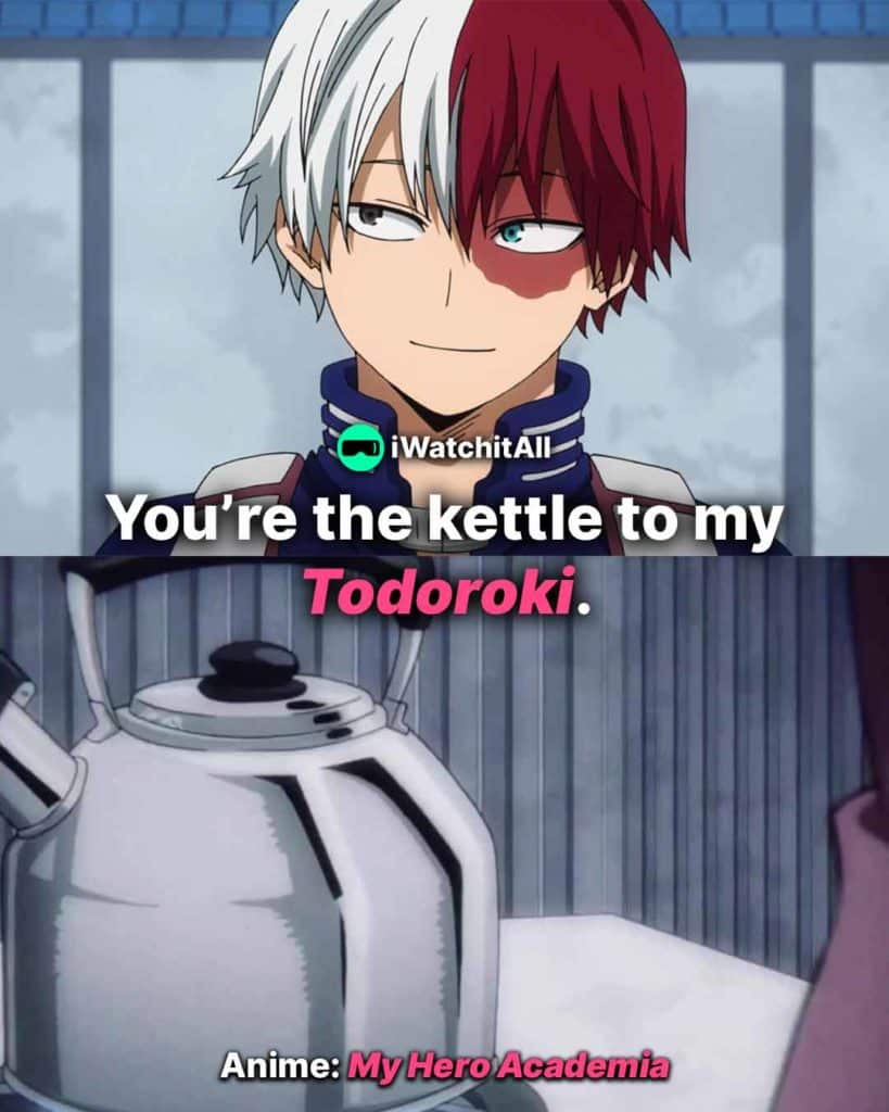 My Hero Academia You’re the kettle to my Todoroki_