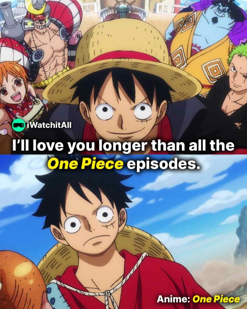 One Piece I’ll love you longer than all the One Piece episodes