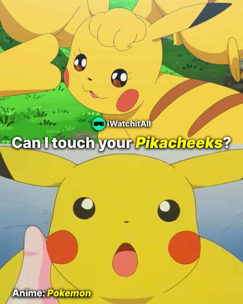 Pokemon Can I touch your Pikacheeks