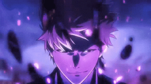 Bleach Conclusion