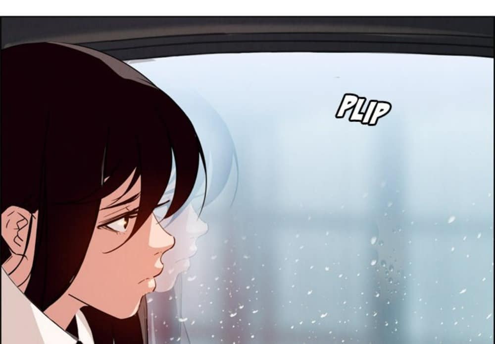 Rain Curtain