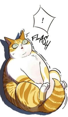 manhwa cat