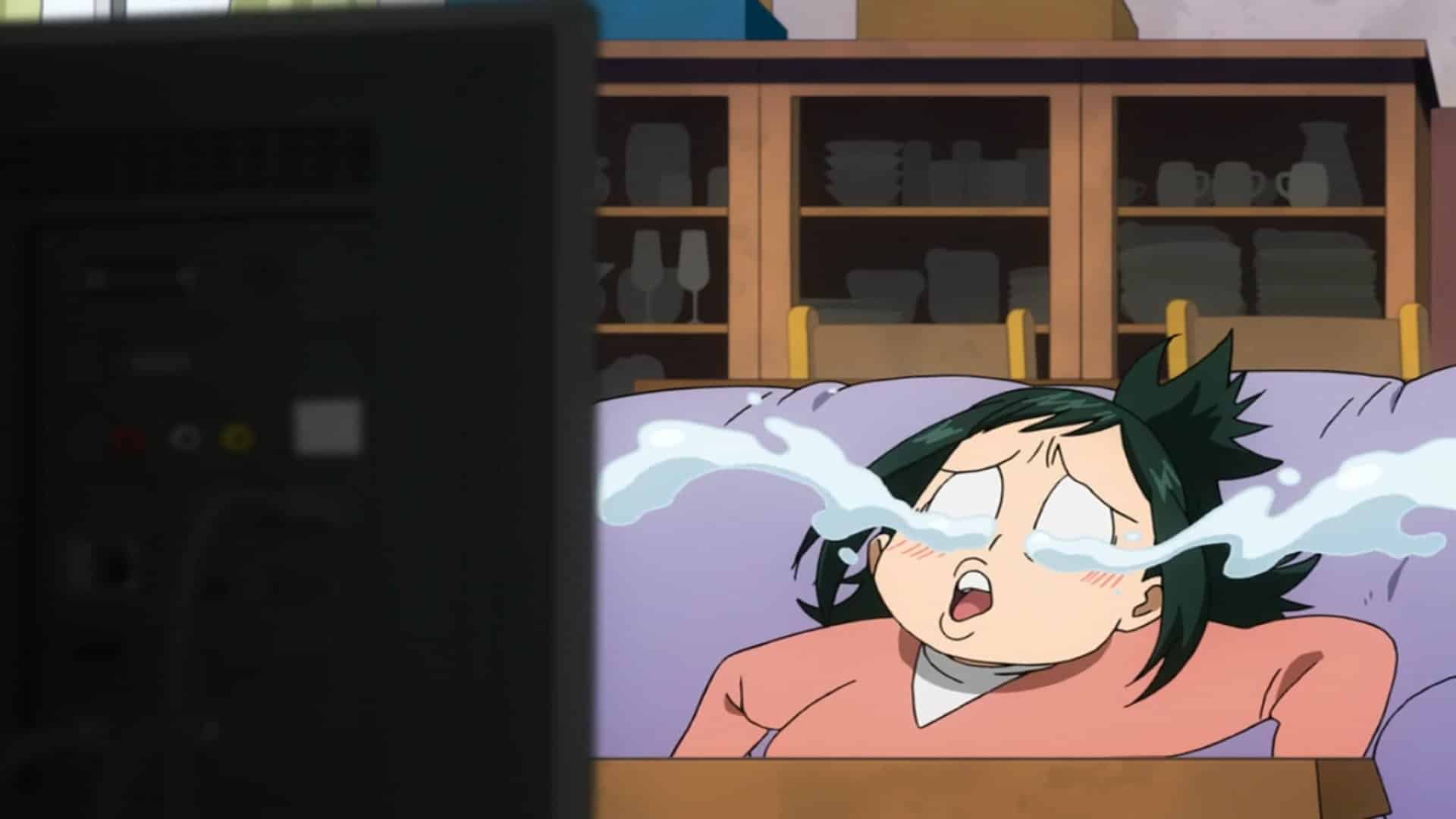 Inko Midoriya My Hero Academia