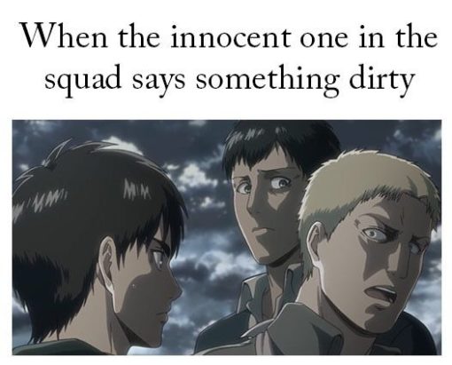 Meme 13