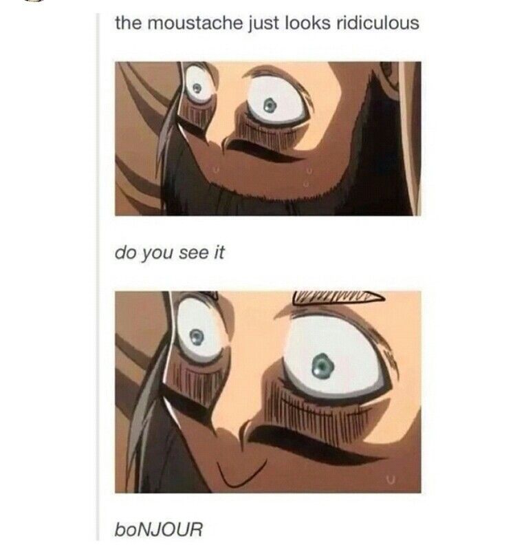 Meme 14