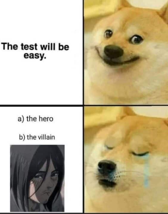Meme 17