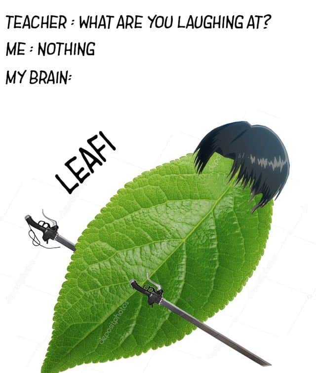 Meme 36