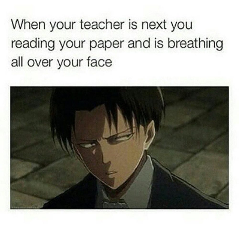 Meme 37