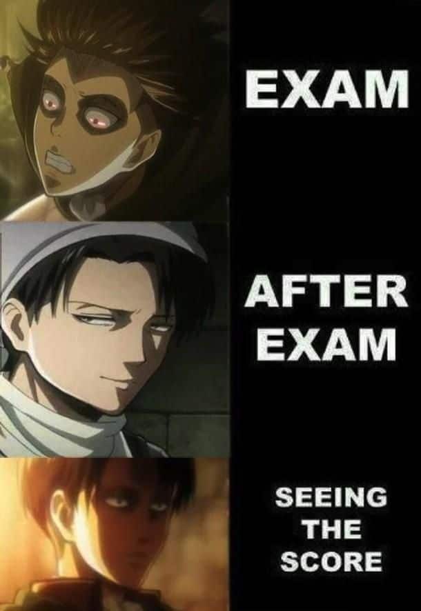 Meme 41