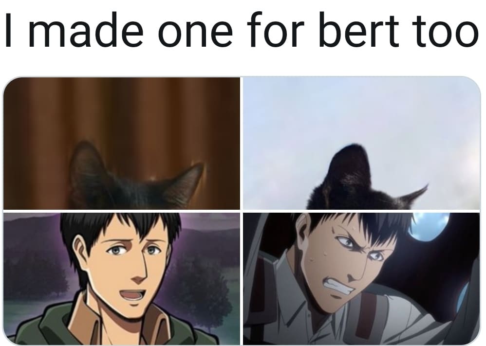 Meme 85