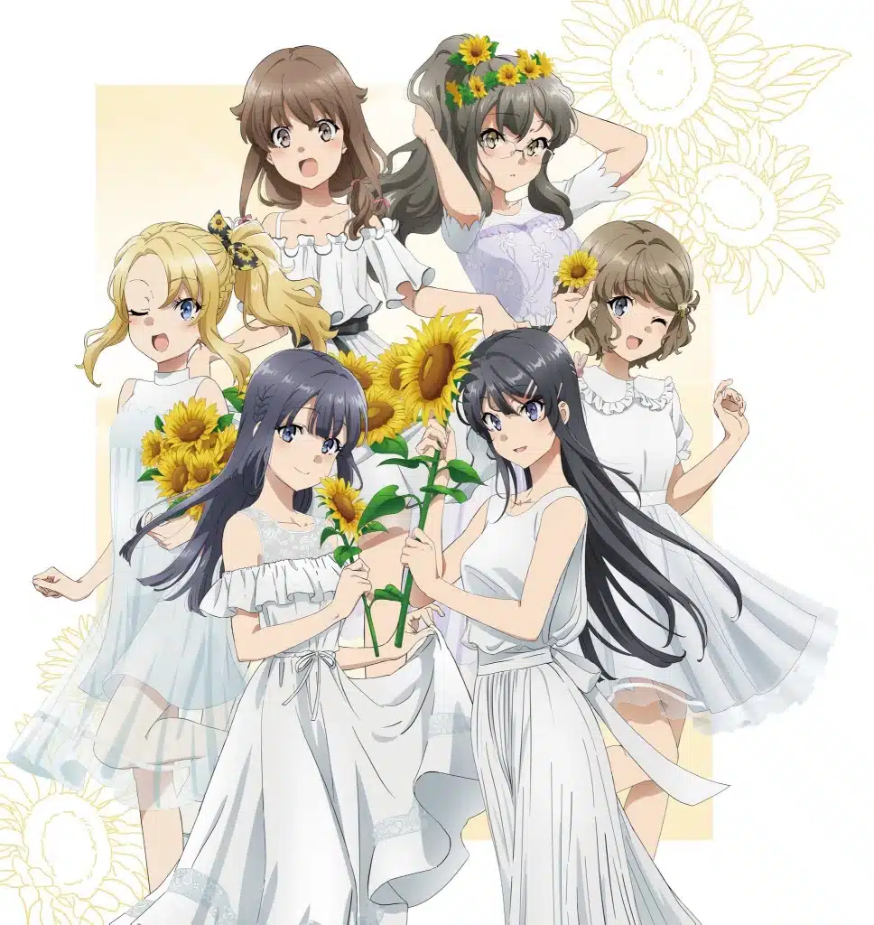 Rascal Does Not Dream of Bunny Girl Senpai