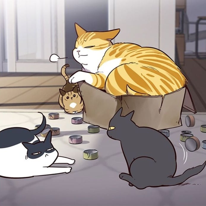 manhwa cat final notes