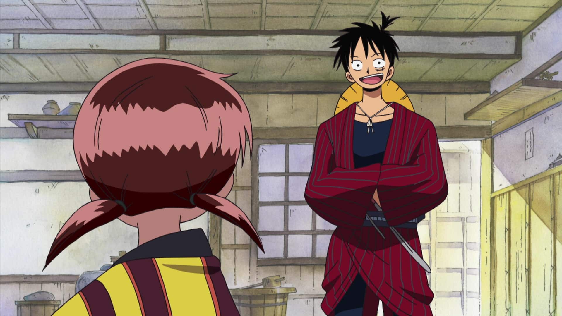 Episode 291 one piece