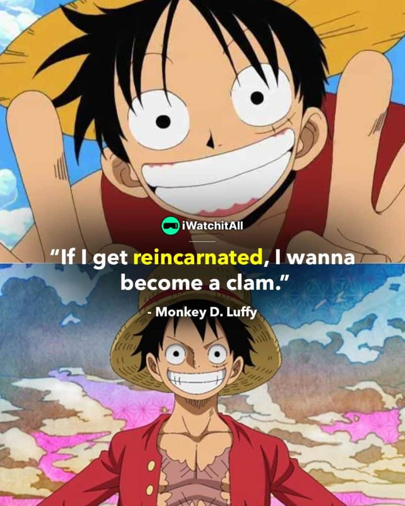 Monkey D luffy