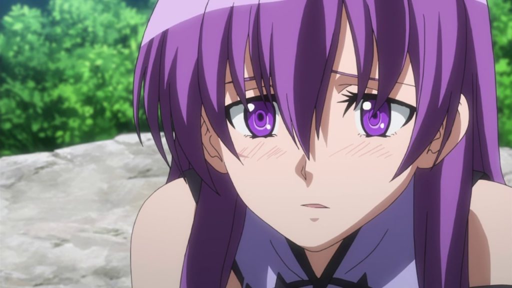 Sheele (Akame Ga Kill)