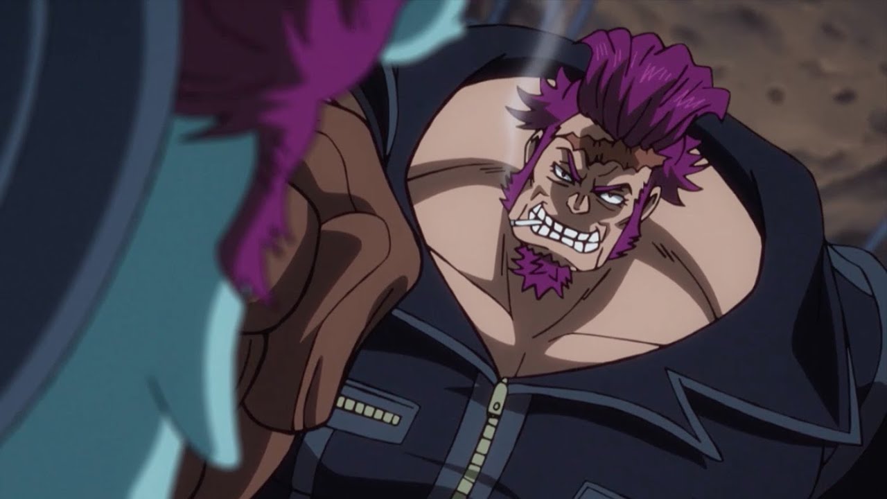 Wano Country Saga Cidre Guild Arc