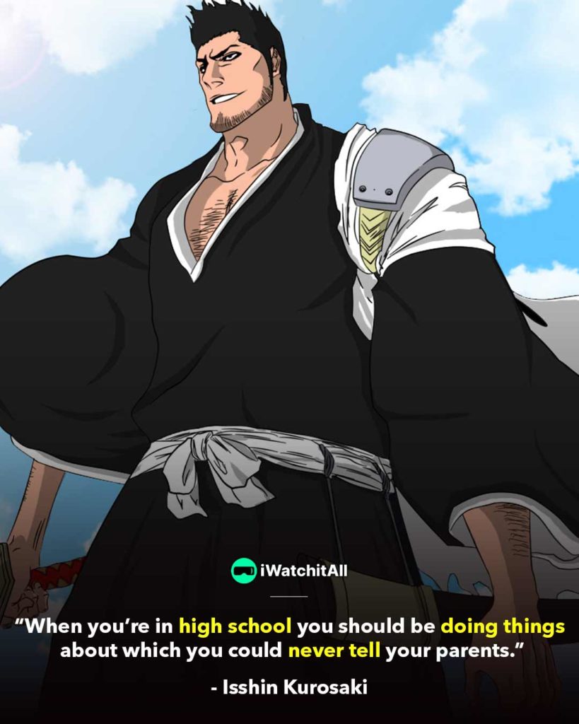 isshin kurosaki