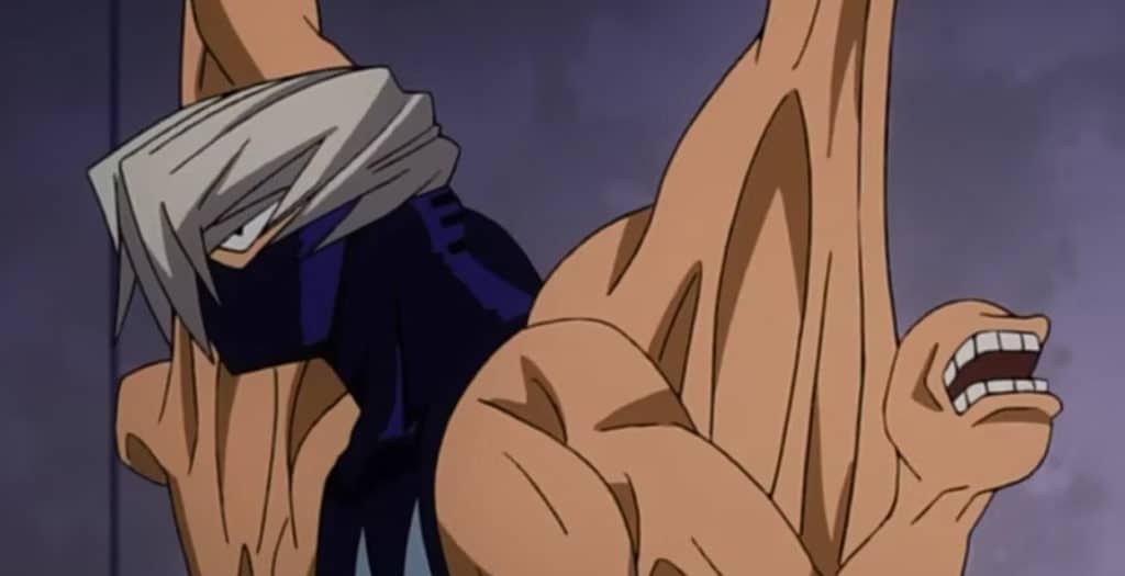 mezo shoji