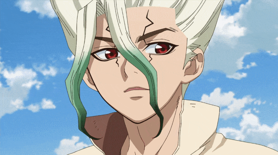 Dr. Stone
