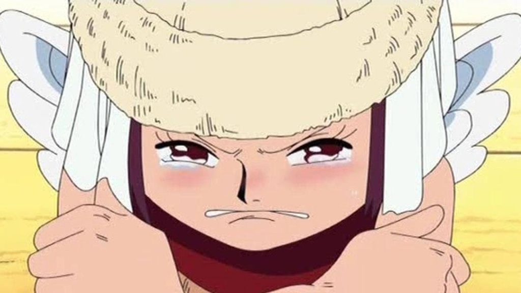 6 6 11zon One Piece Official Birthdays One Piece Official Birthdays