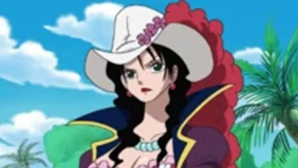 ALVIDA One Piece Official Birthdays One Piece Official Birthdays