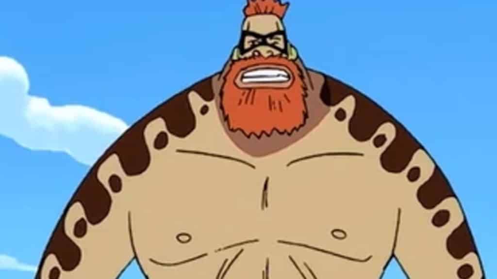 BIG PAN One Piece Official Birthdays One Piece Official Birthdays