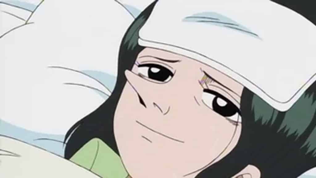 Banchina Anime Infobox One Piece Official Birthdays One Piece Official Birthdays