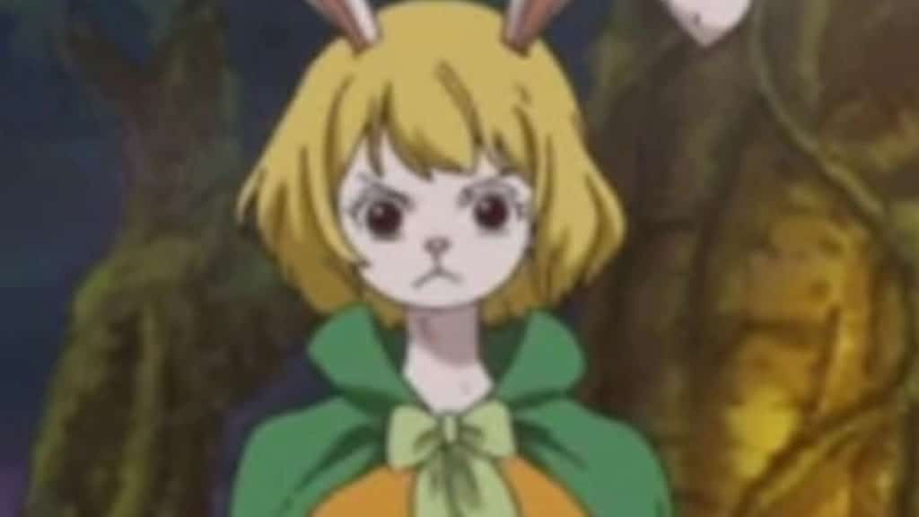 CARROT One Piece Official Birthdays One Piece Official Birthdays