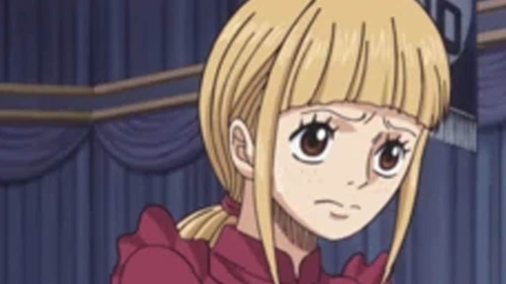 COSETTE One Piece Official Birthdays One Piece Official Birthdays