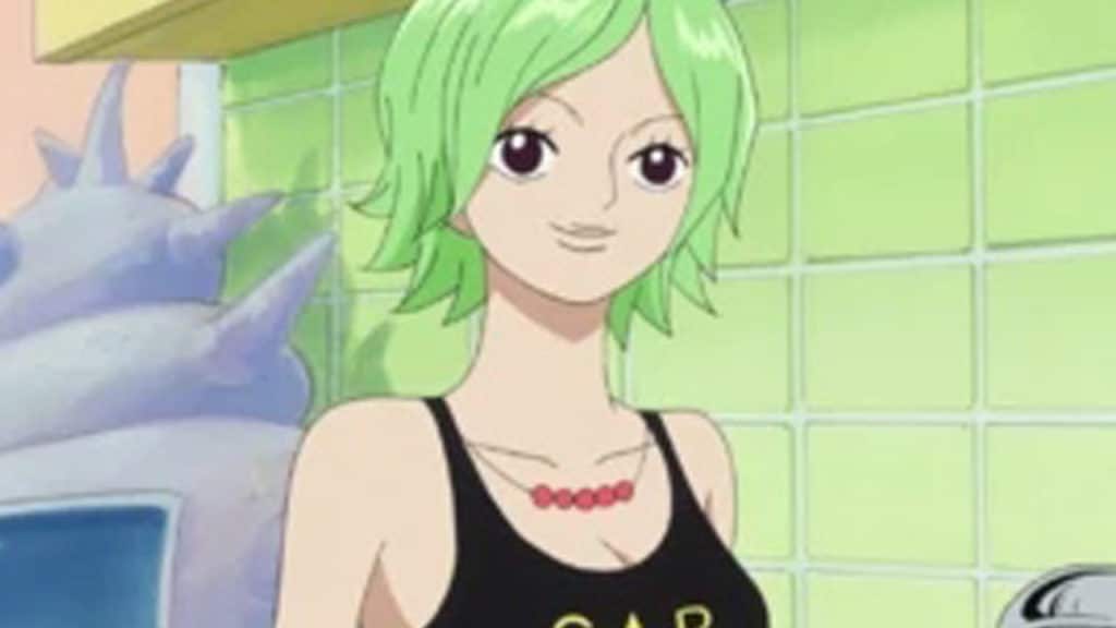 Camie Anime Post Timeskip Infobox One Piece Official Birthdays One Piece Official Birthdays