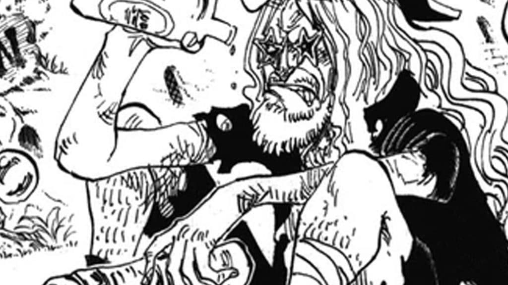 DISCO One Piece Official Birthdays One Piece Official Birthdays