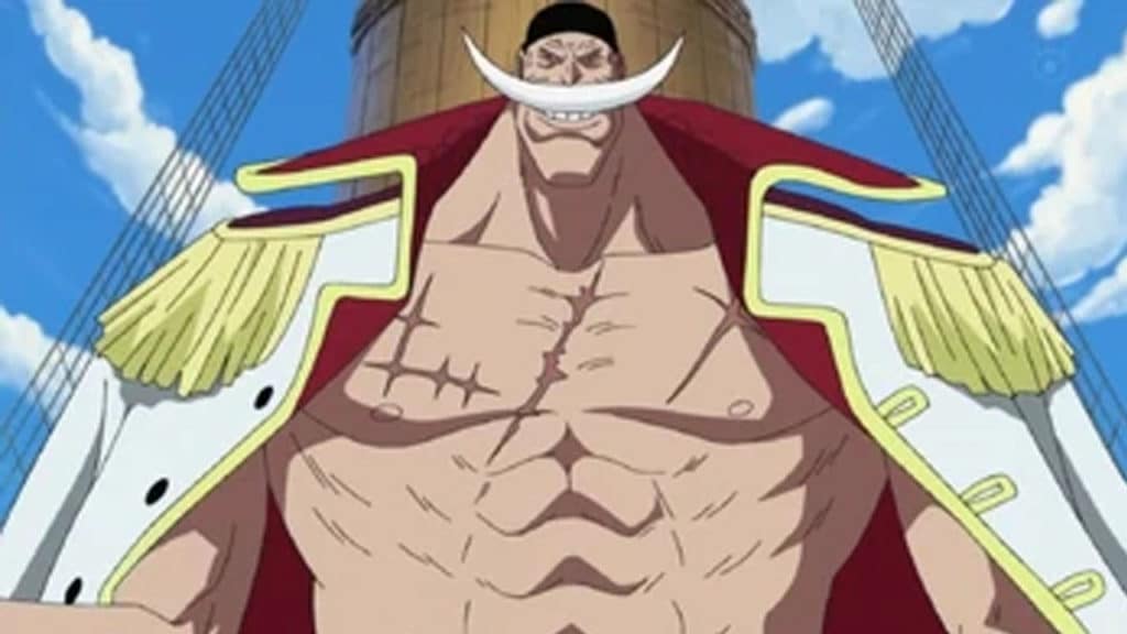 EDWARD NEWGATE One Piece Official Birthdays One Piece Official Birthdays
