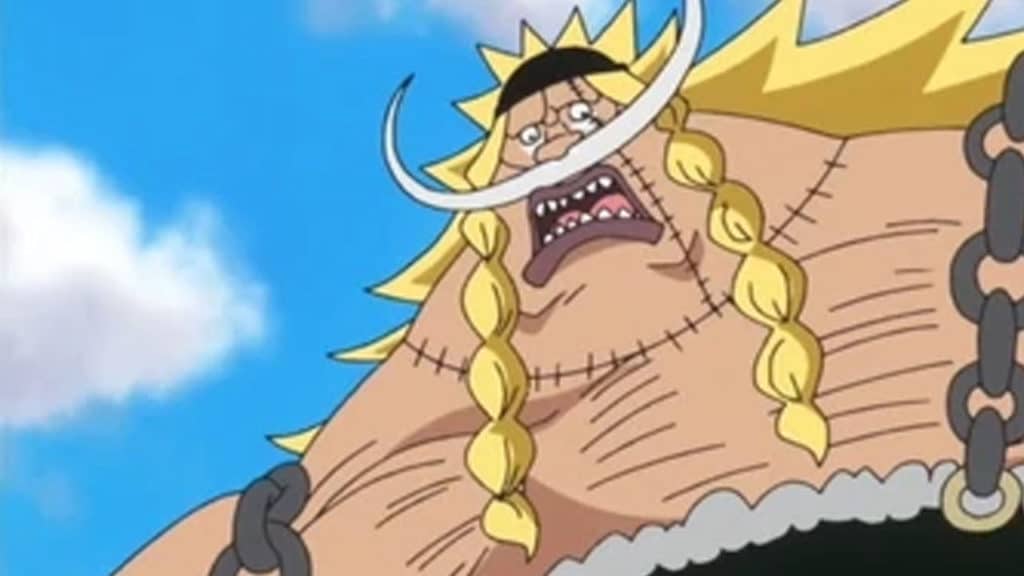 Edward Weevil Anime Infobox One Piece Official Birthdays One Piece Official Birthdays