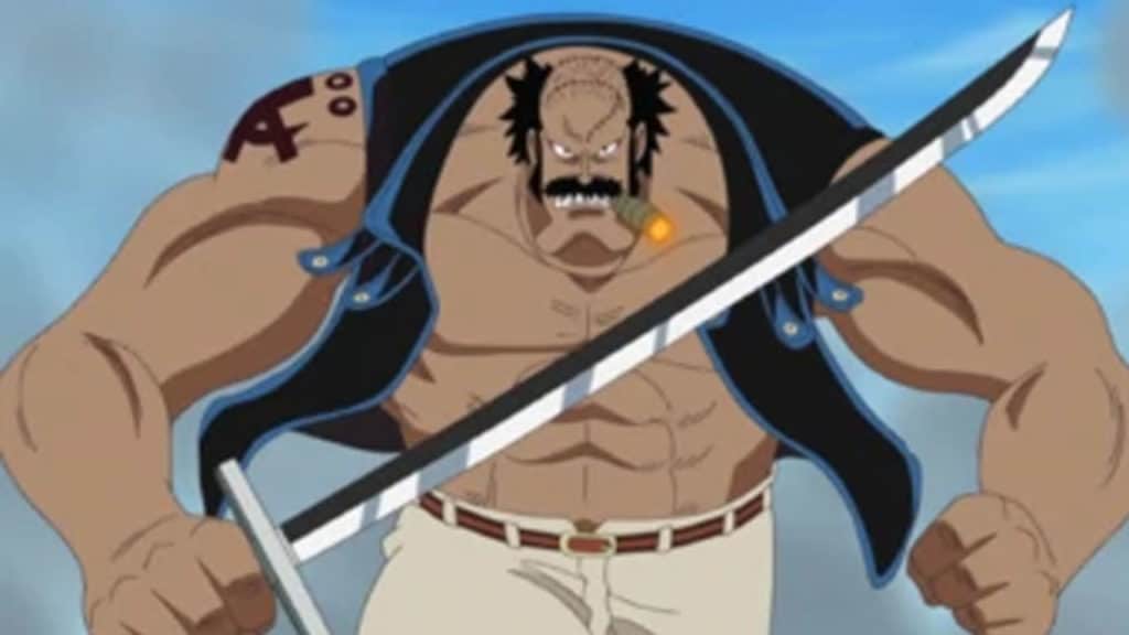 FOSSA One Piece Official Birthdays One Piece Official Birthdays
