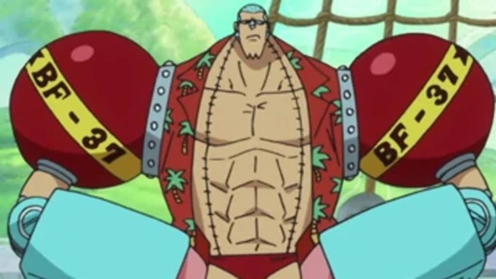 FRANKY One Piece Official Birthdays One Piece Official Birthdays