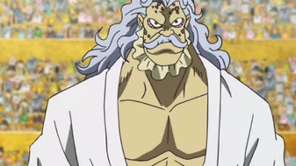 HACK One Piece Official Birthdays One Piece Official Birthdays