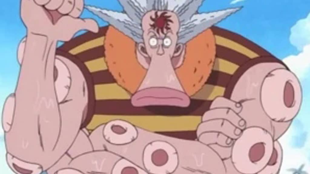 HATCHAN One Piece Official Birthdays One Piece Official Birthdays
