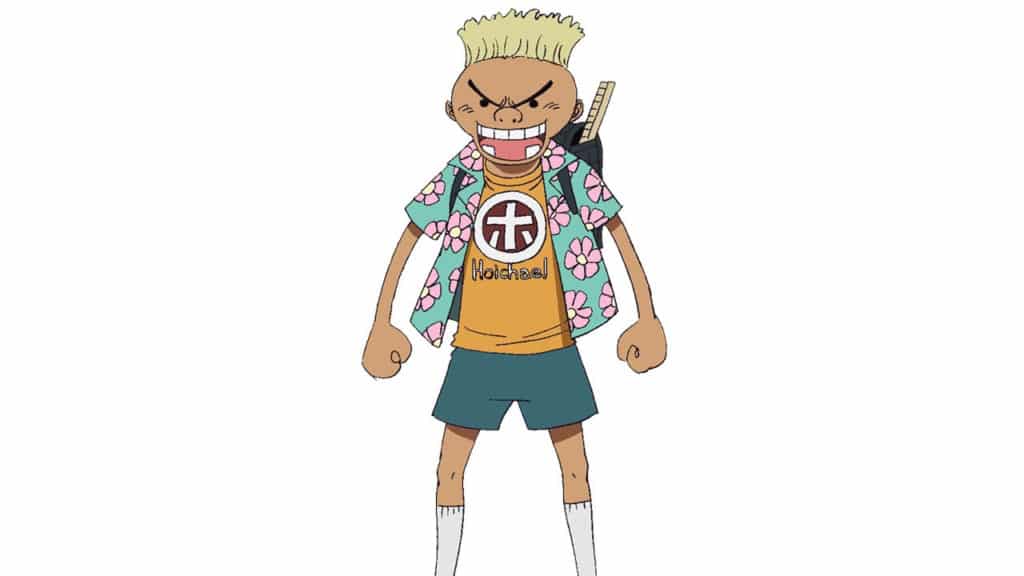 HOICHAEL One Piece Official Birthdays One Piece Official Birthdays