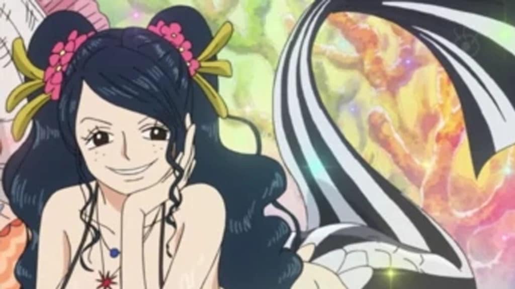ISHILLY One Piece Official Birthdays One Piece Official Birthdays