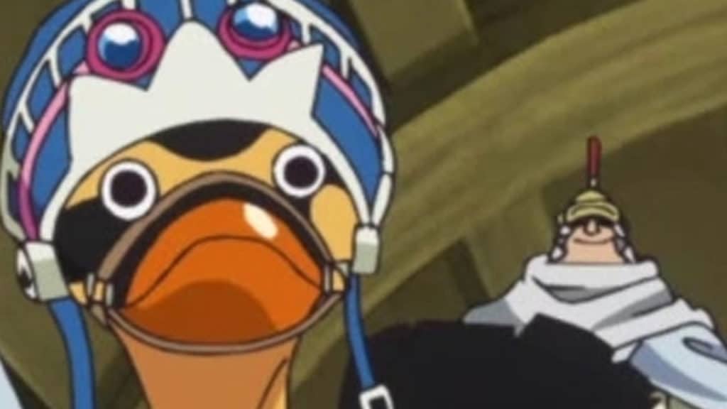 Karoo Anime Post Timeskip Infobox One Piece Official Birthdays One Piece Official Birthdays