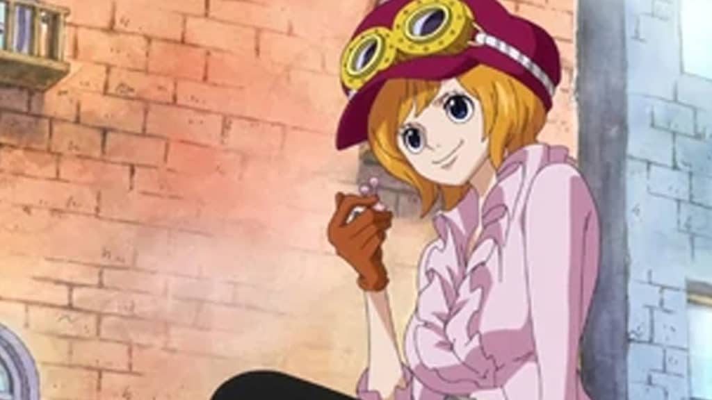 Koala Anime Infobox One Piece Official Birthdays One Piece Official Birthdays