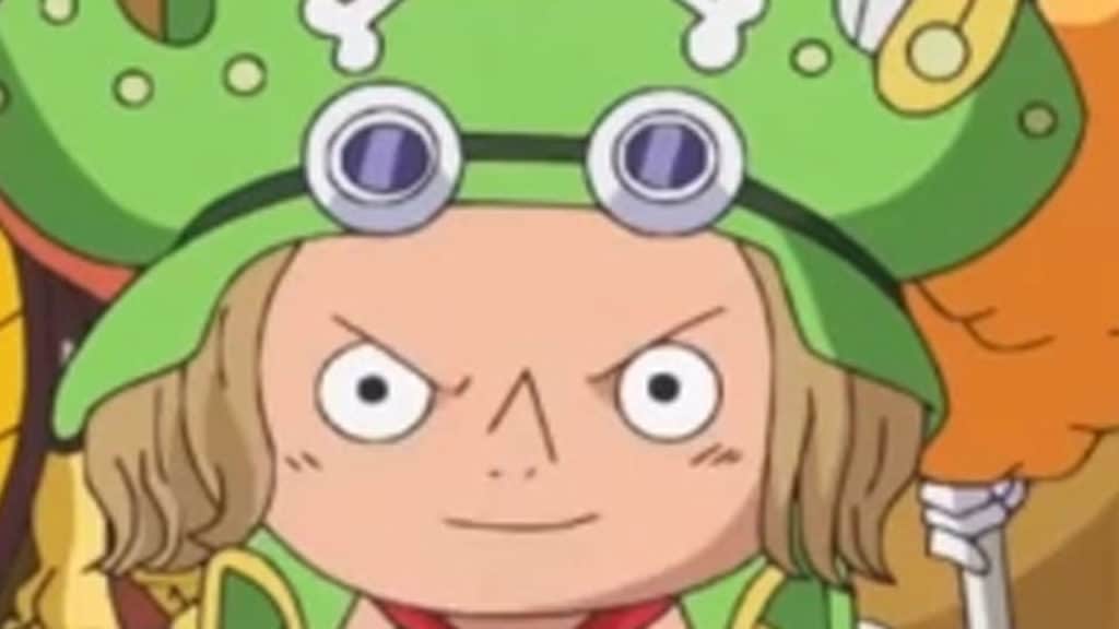 LEO One Piece Official Birthdays One Piece Official Birthdays