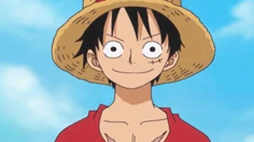MONKEY D. LUFFY One Piece Official Birthdays One Piece Official Birthdays