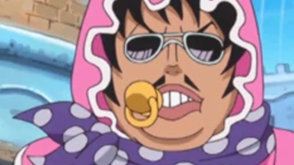 SENOR PINK One Piece Official Birthdays One Piece Official Birthdays