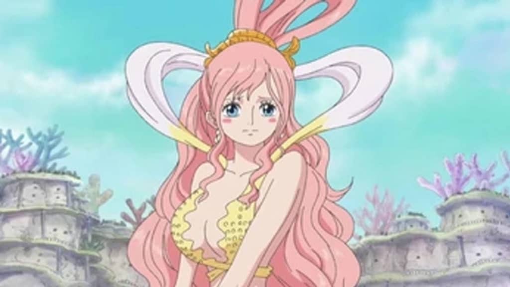 SHIRAHOSHI One Piece Official Birthdays One Piece Official Birthdays