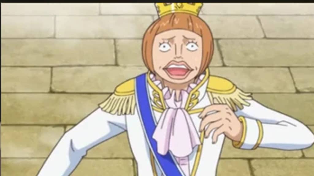 STERRY One Piece Official Birthdays One Piece Official Birthdays