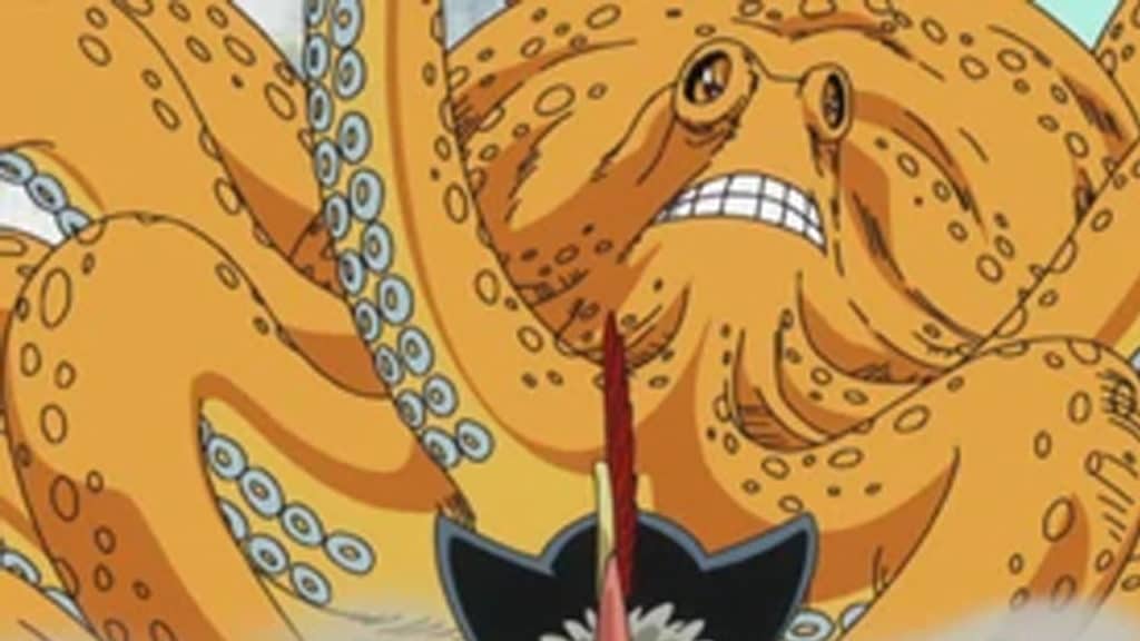 SURUME One Piece Official Birthdays One Piece Official Birthdays